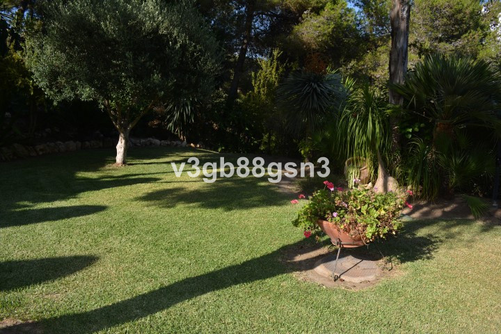 House in Artola - Image 3