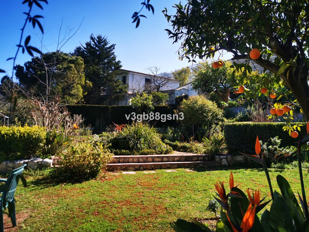 House in Alhaurin el Grande