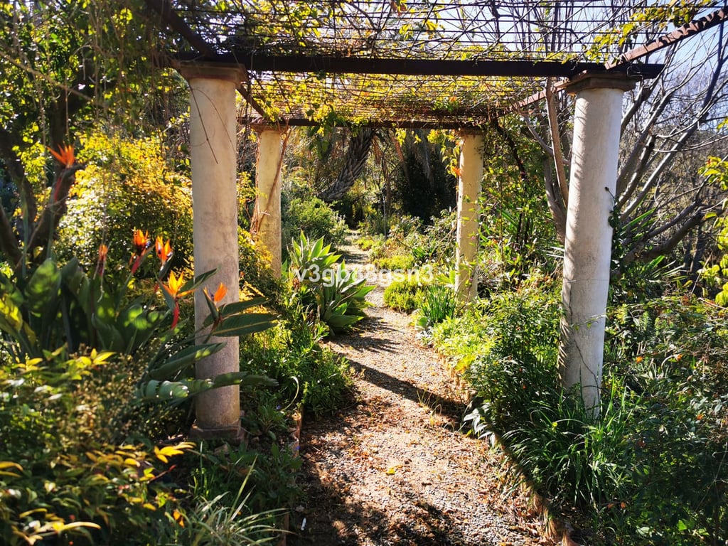 House in Alhaurin el Grande - Image 2