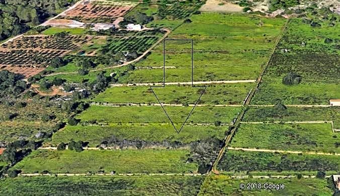 Country Estate in Santa Gertrudis - view 1