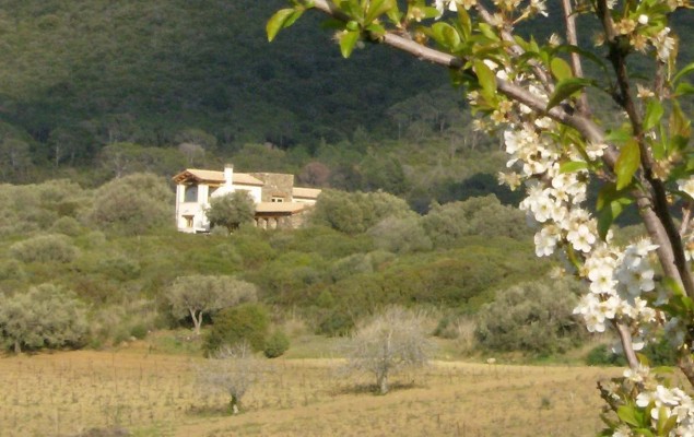House in Sardinia - view 1