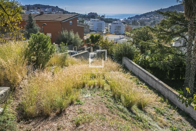 Land in Tiana - view 1