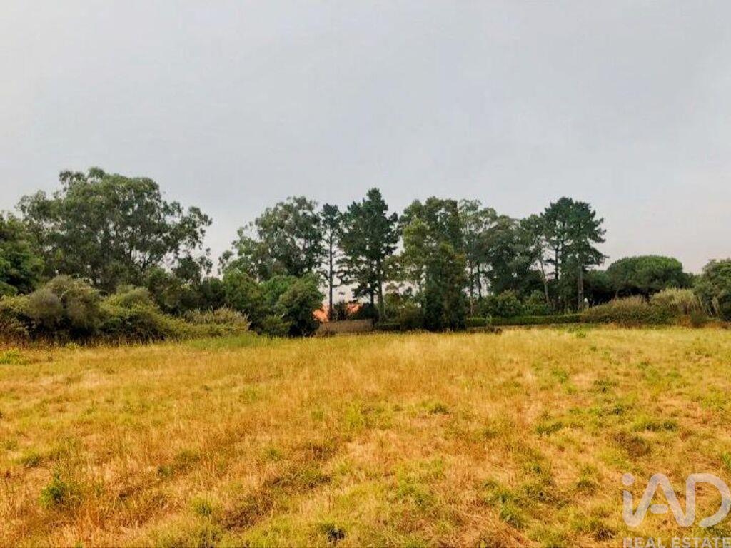 Land in Colares