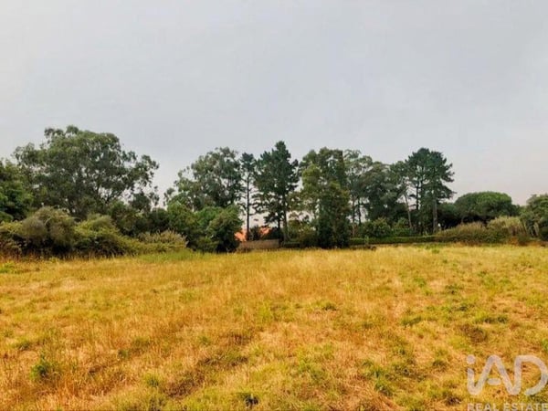 Land in Colares - view 1