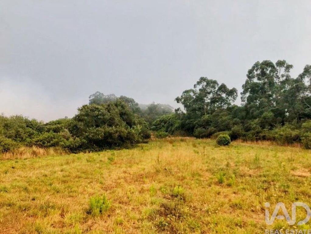 Land in Colares - Image 2