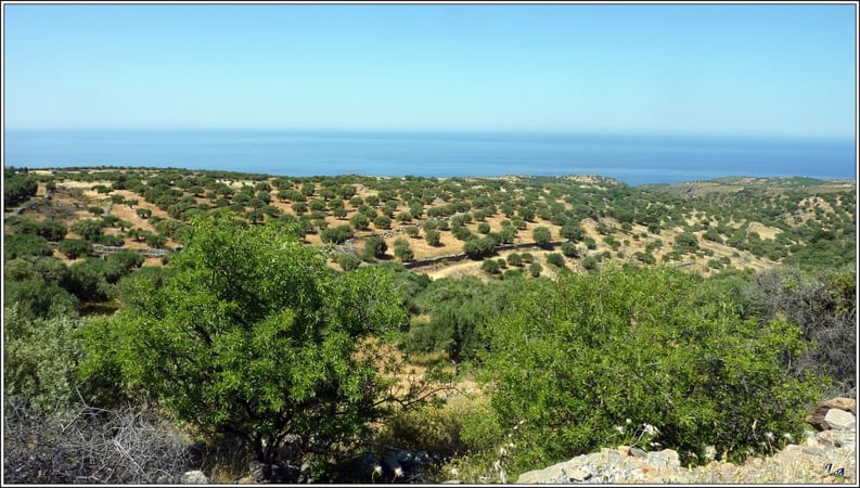 House in Kato Loumas - view 1