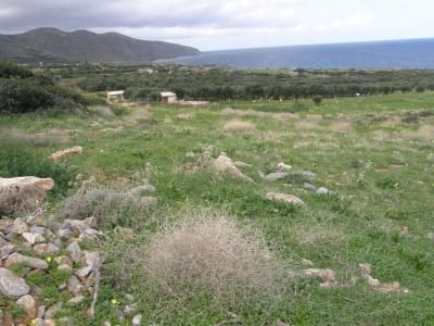 House in Agios Nikolaos - Image 3