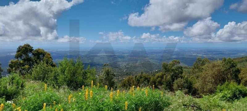 Land in Monchique - view 1