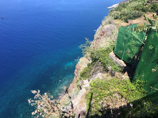 Land in Ribeira Brava - view 1