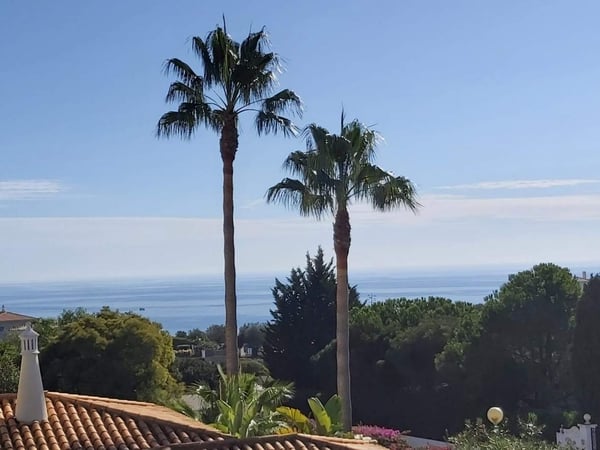 House in Lagoa - view 1