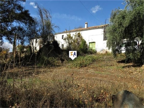 Farm, Ranch or Equestrian in Jaen - view 1