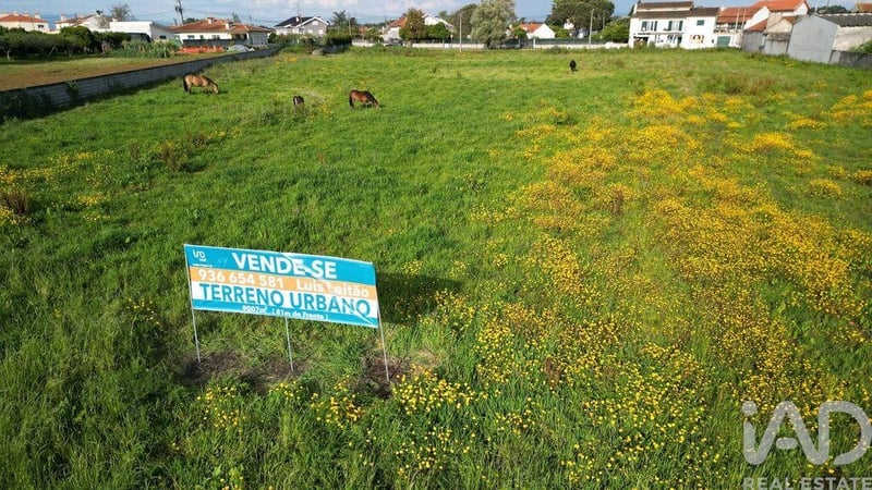 Land in Aveiro - view 1