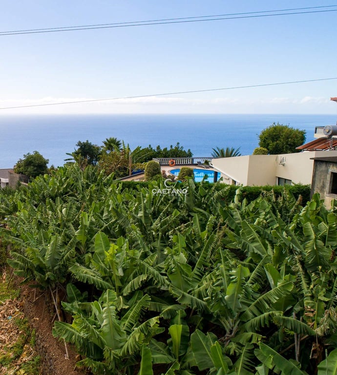 Villa in Arco da Calheta