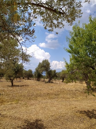 Land in Amarynthos - view 1