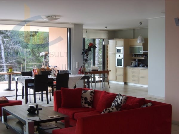 House in Drosopigi - view 1