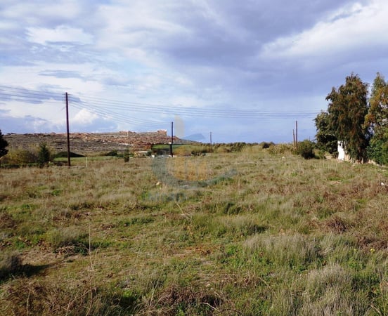 Land in Parasporos - view 1