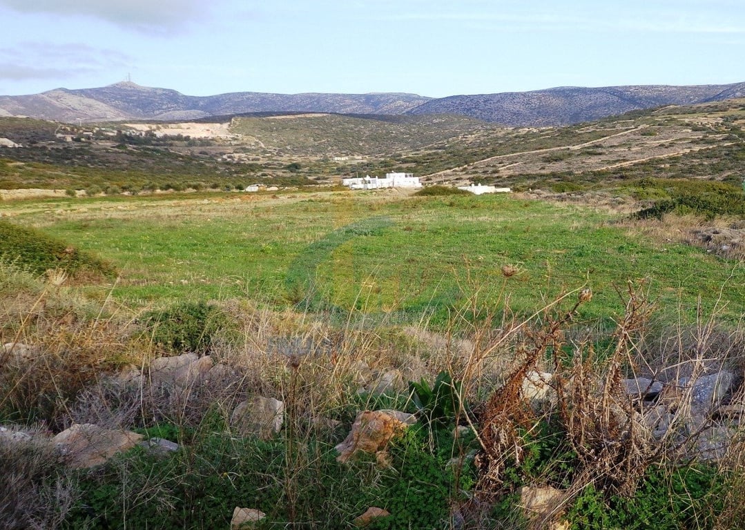 Land in Parikia - Image 2