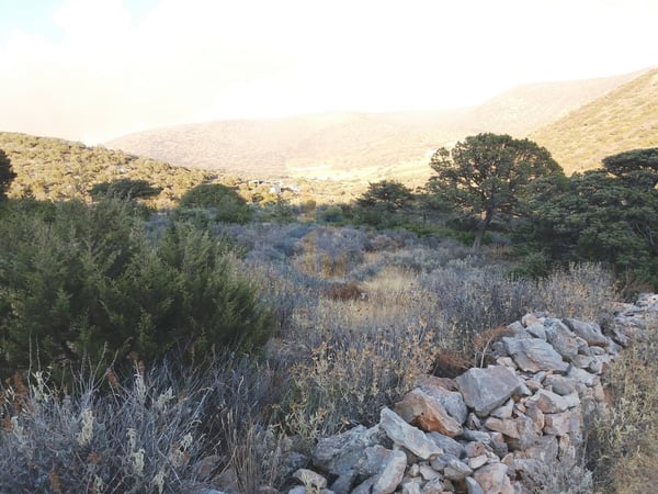 Land in Perifereiaki Enotita Parou - view 1