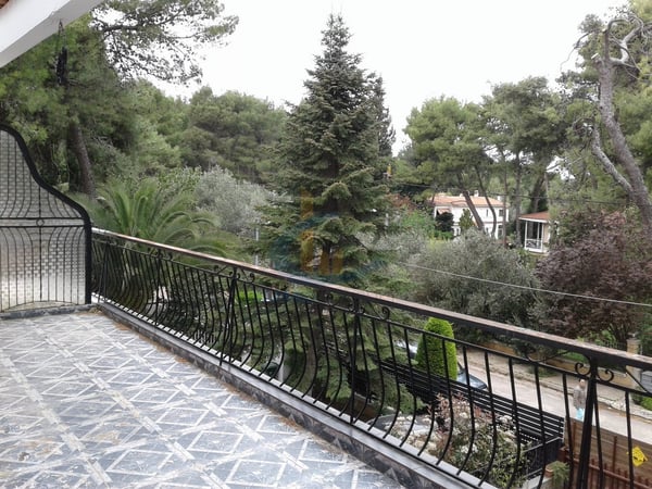 House in Drosia - view 1