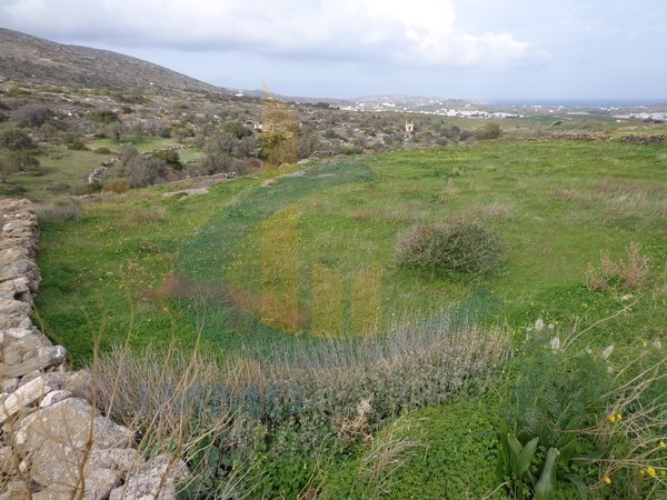 Land in Paros - Image 2