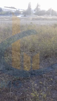 Land in Gerakas - view 1