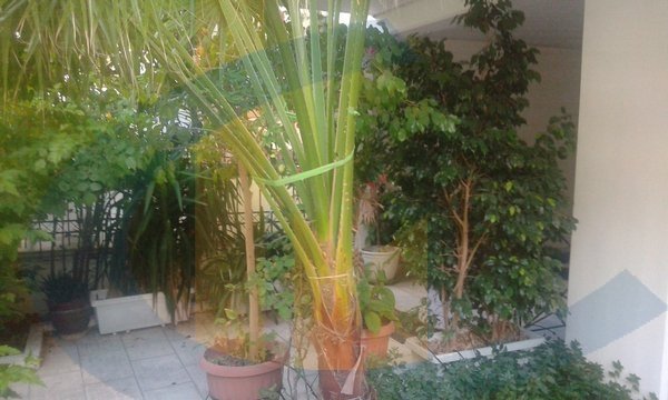 House in Agios Dimitrios - view 1