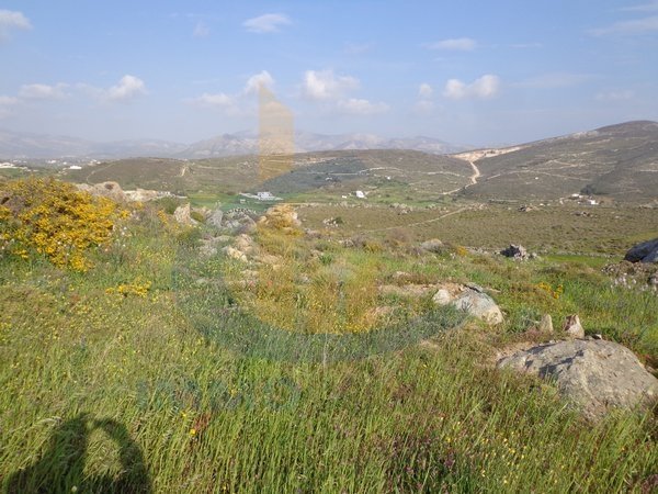 Land in Naxos - Image 3