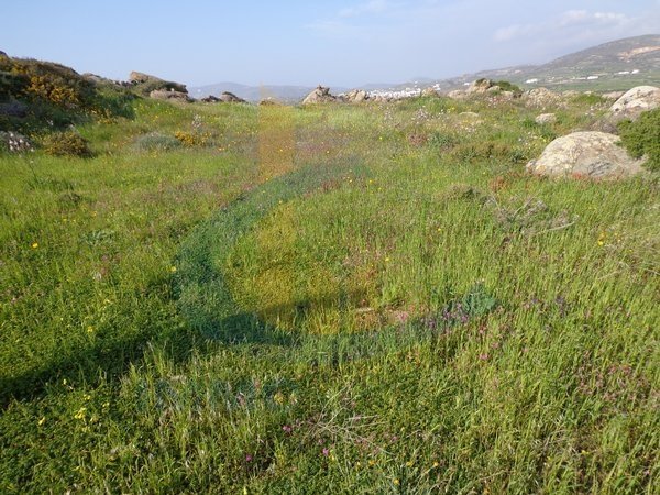 Land in Naxos - Image 2
