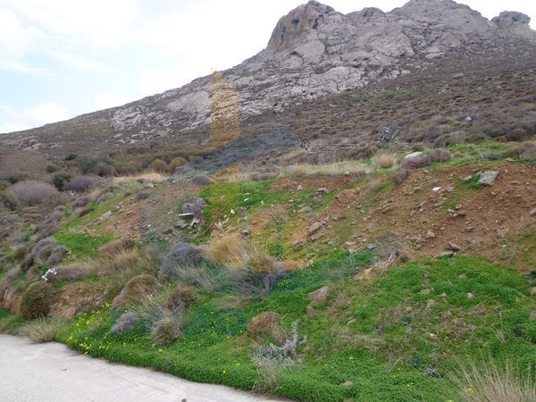 Land in Mesi - view 1