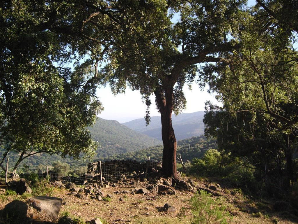 Land in Gaucin - Image 2