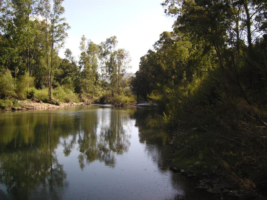 Land in Gaucin