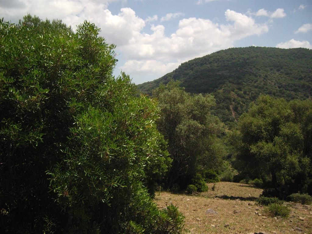 Land in Gaucin - Image 3