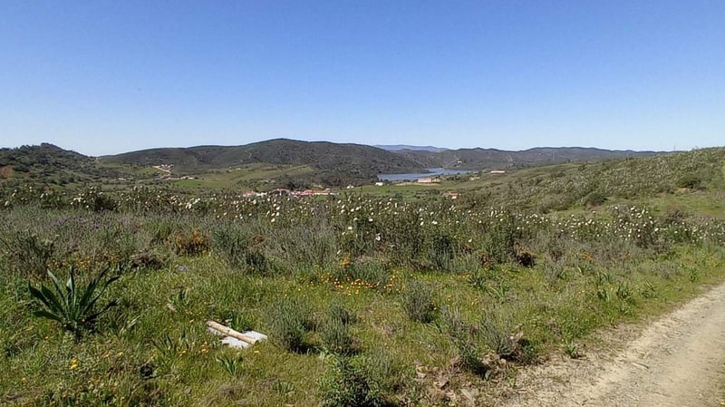 House in Sao Bartolomeu de Messines - view 1