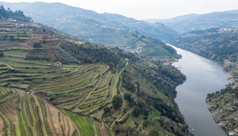 House in Sao Martinho de Mouros - view 1