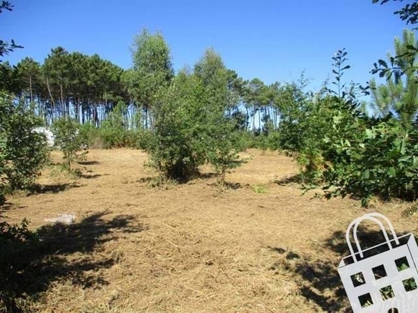 Land in Campo - view 1