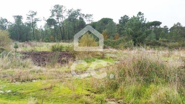 Land in Viseu - Image 2