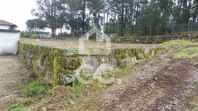 Land in Viseu - Image 3