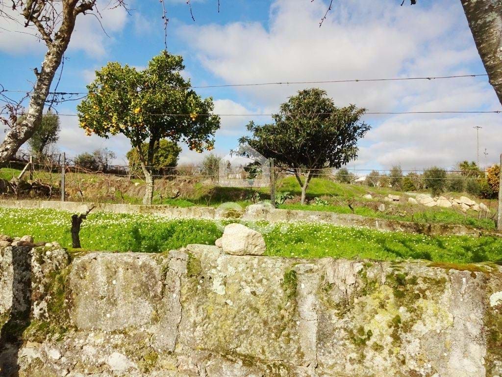 Land in Viseu - Image 3