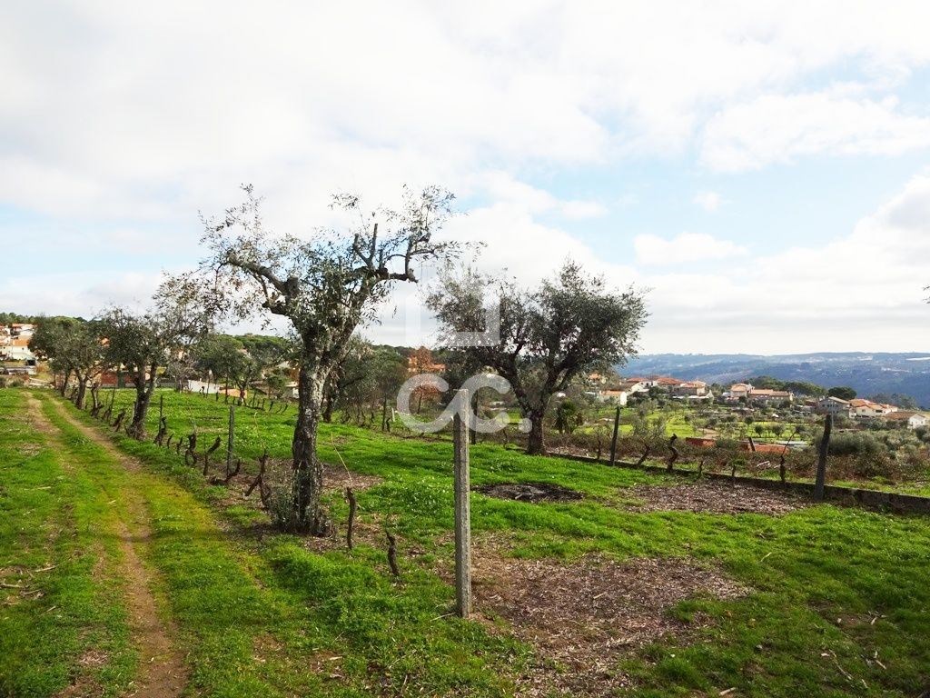 Land in Viseu