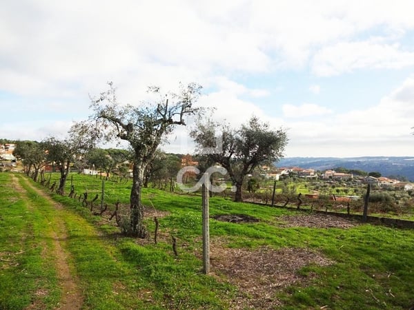 Land in Viseu - view 1