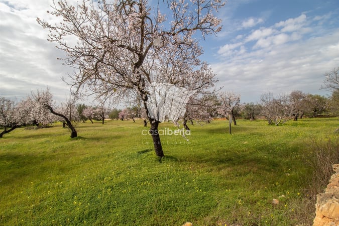House in Estoi - view 1