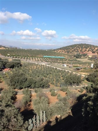 Farm, Ranch or Equestrian in Archidona - view 1