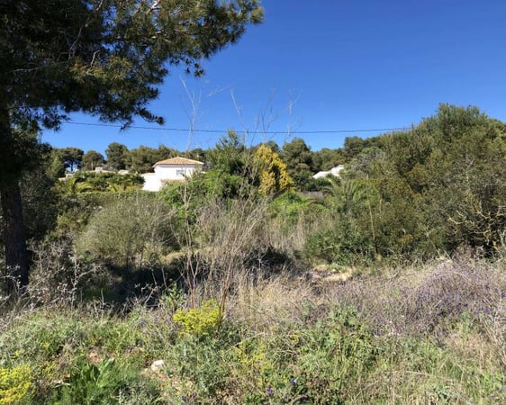Land in Javea - view 1