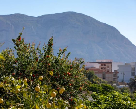 Farm, Ranch or Equestrian in Gata de Gorgos - view 1