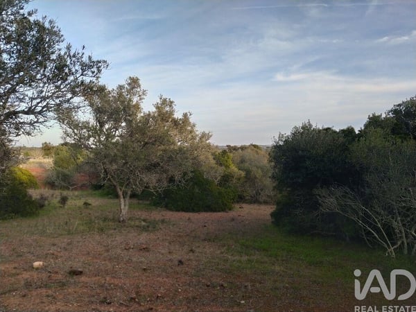 Land in Barao de Sao Miguel - view 1