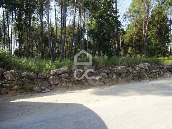 Land in Viseu - view 1