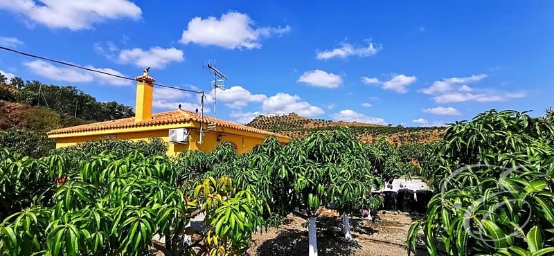 House in Torre del Mar - view 1