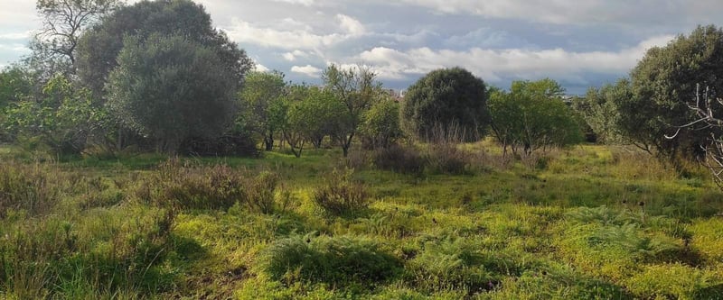 House in Portimao - view 1