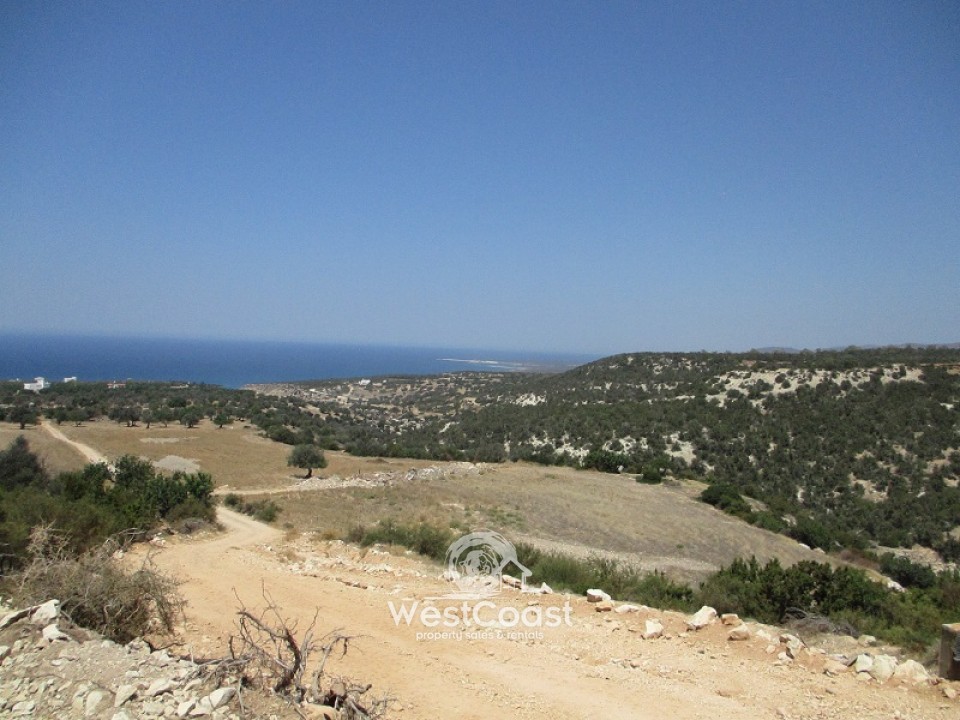 House in Pegeia - Image 3