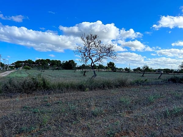 Country Estate in San Antonio De Portmany
 - view 1